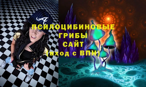 Альфа ПВП Абаза