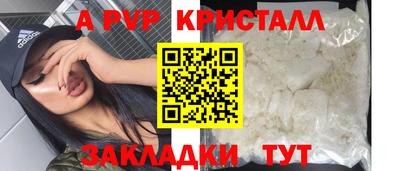 стаф Тверь