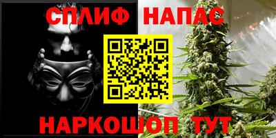 стаф Тверь