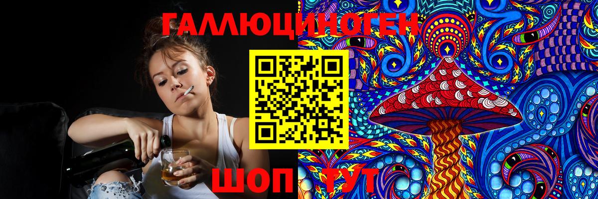 Псилоцибиновые грибы Cubensis  Вход с VPN  Прохладный 